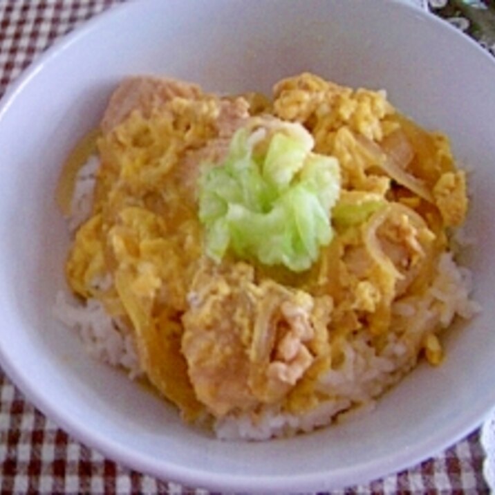 我が家の★親子丼